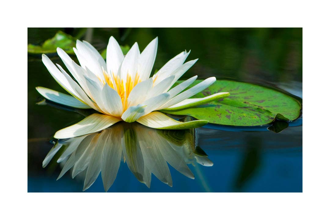 012pr_v Lopoč - Slika 1