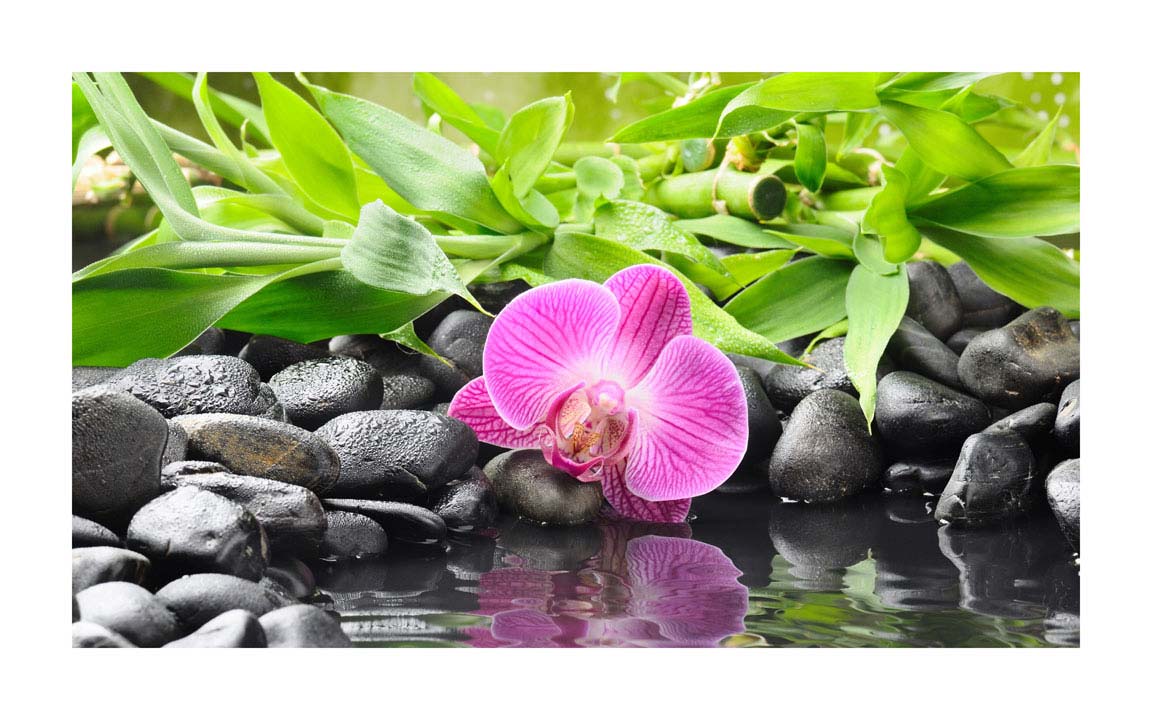 014pr_v Orhideja na kamenu - Slika 1