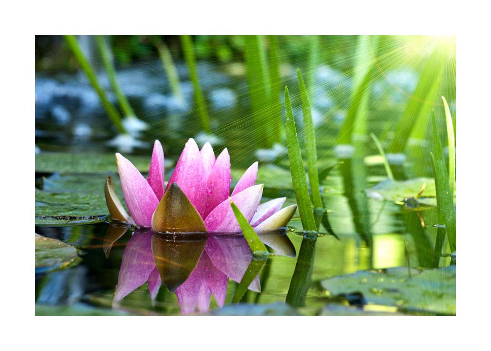 017pr_v Lopoč - Slika 1