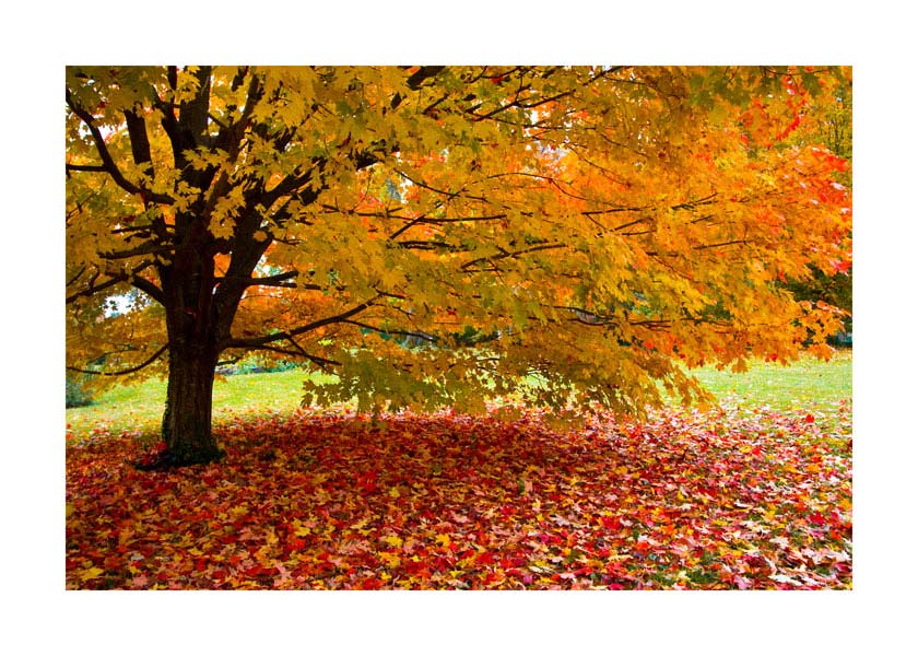 049pr_s1_jesen2_v Jesen - Slika 1