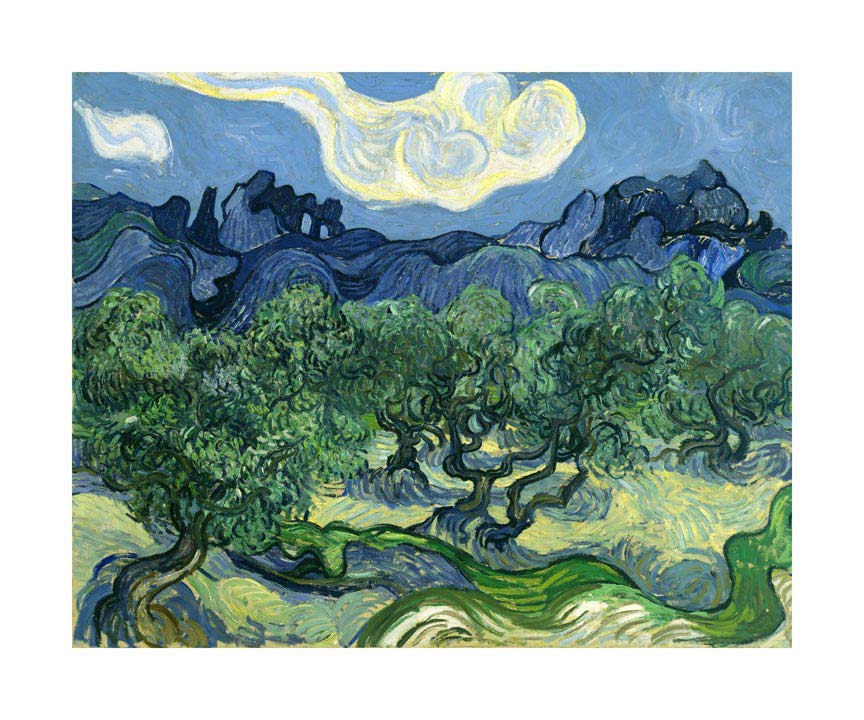 054fa_v Drvo masline - Slika 1