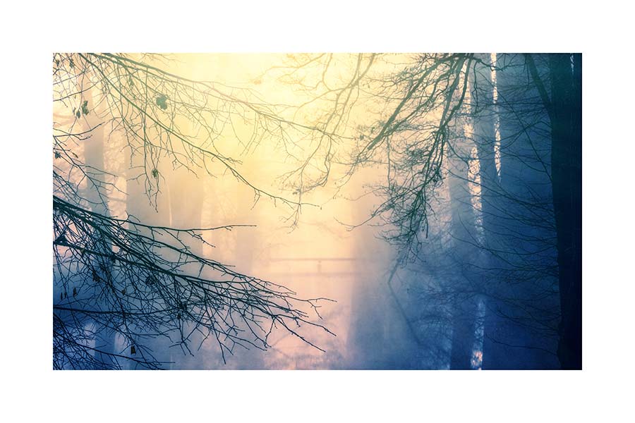 066pr_v Zimsko jutro - Slika 1