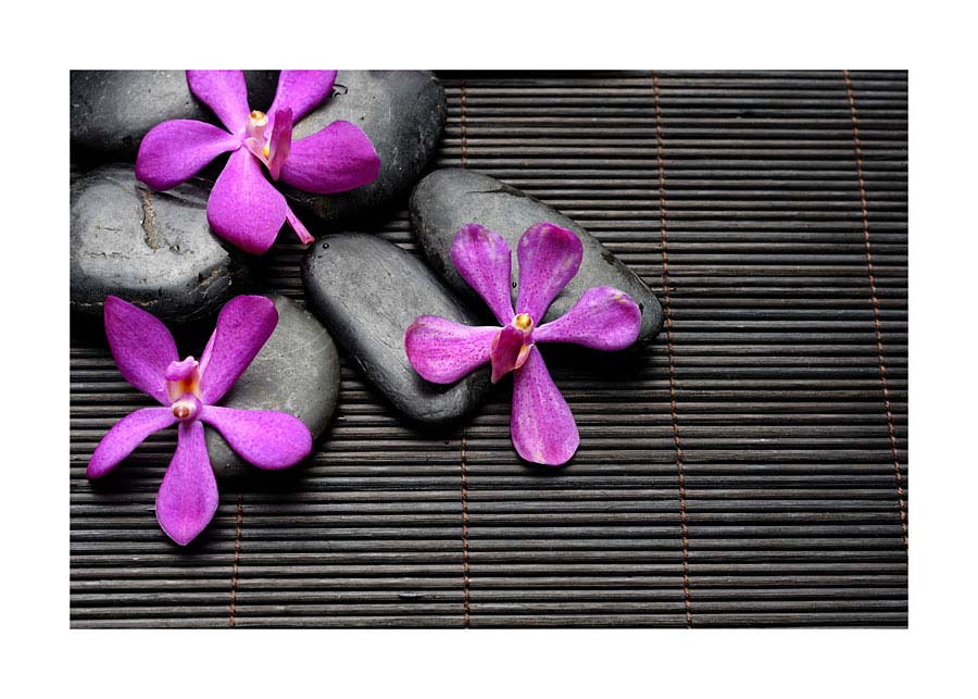 074pr_v Cvijeće na kamenu - Slika 1