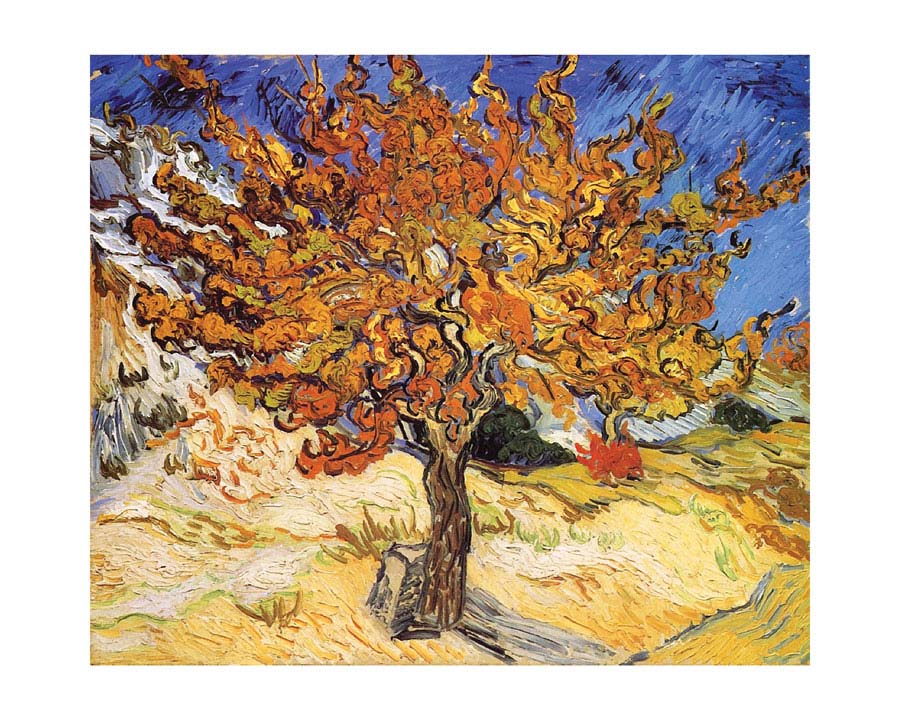 Murva - van Gogh Murva - Slika 1