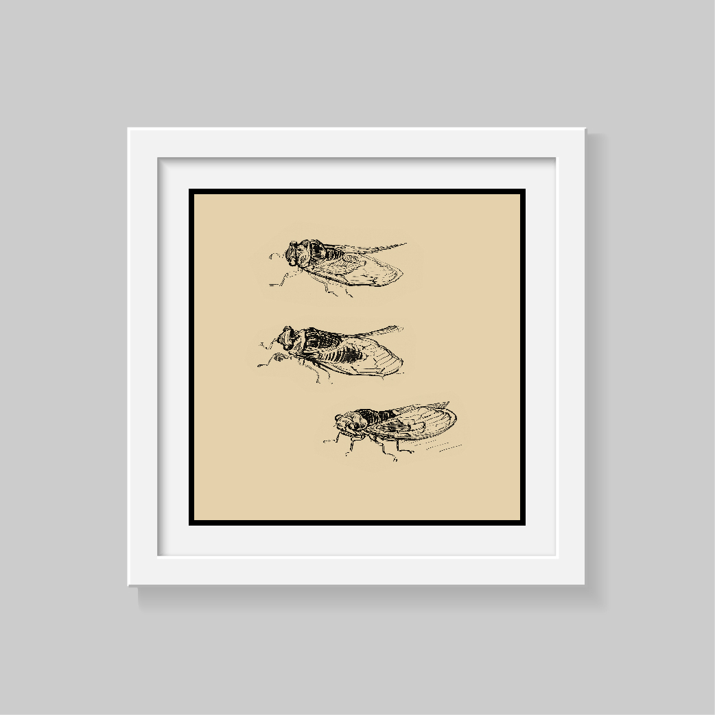 087fa_mnt-01 Tri cvrčka - Slika 1