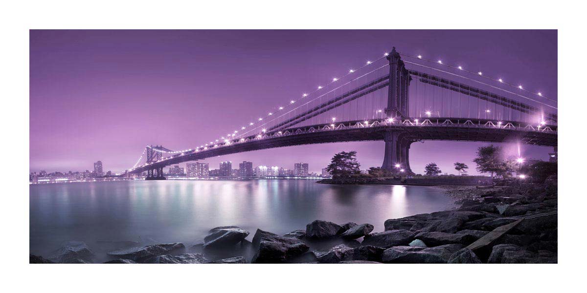 008gr_v Manhattan Bridge, New York - Slika 1