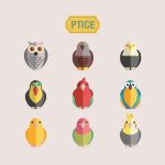 Ptice, dječji plakat