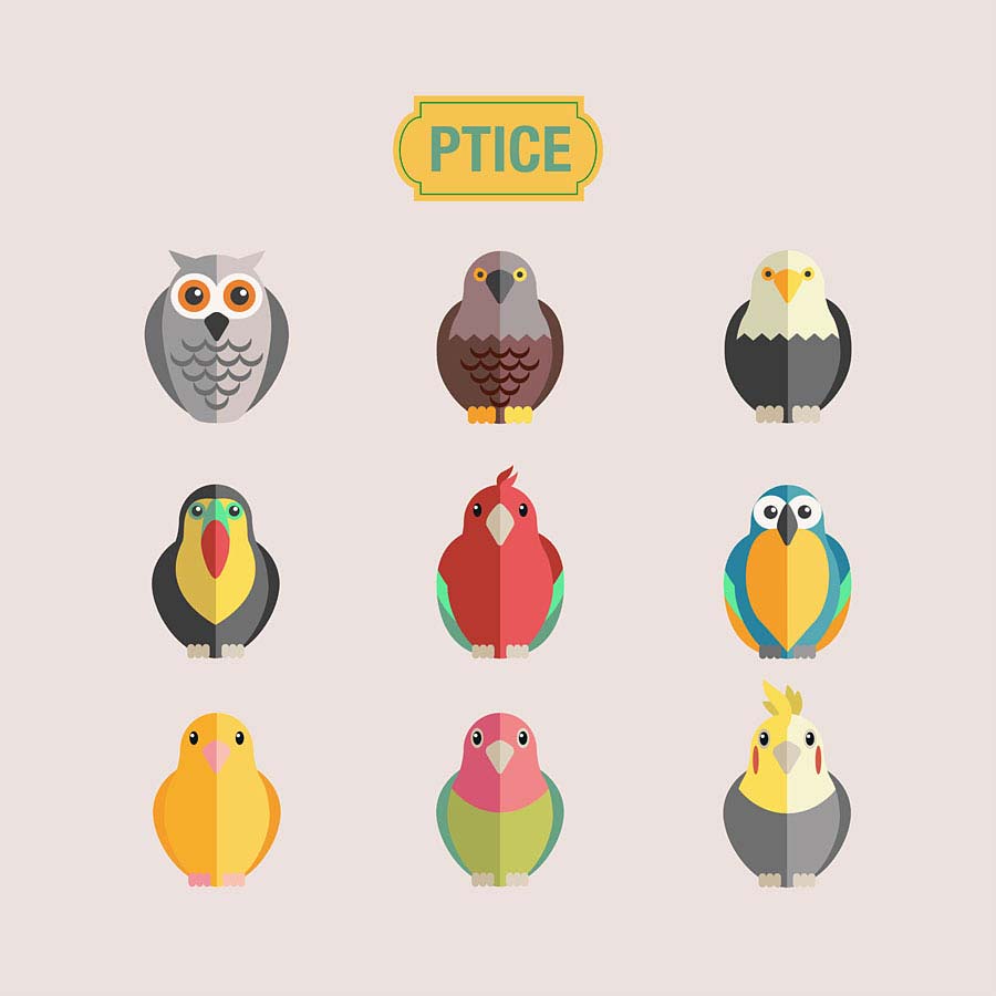 020dj_v Ptice, dječji plakat - Slika 1