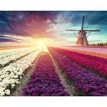 Nizozemska vjetrenjača