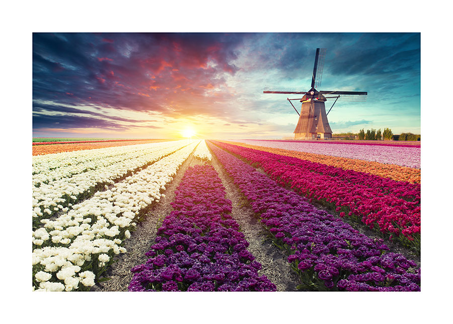 085pr_v Nizozemska vjetrenjača - Slika 1