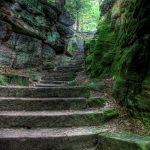 Šumske stepenice, naljepnica za vrata - Slika 3