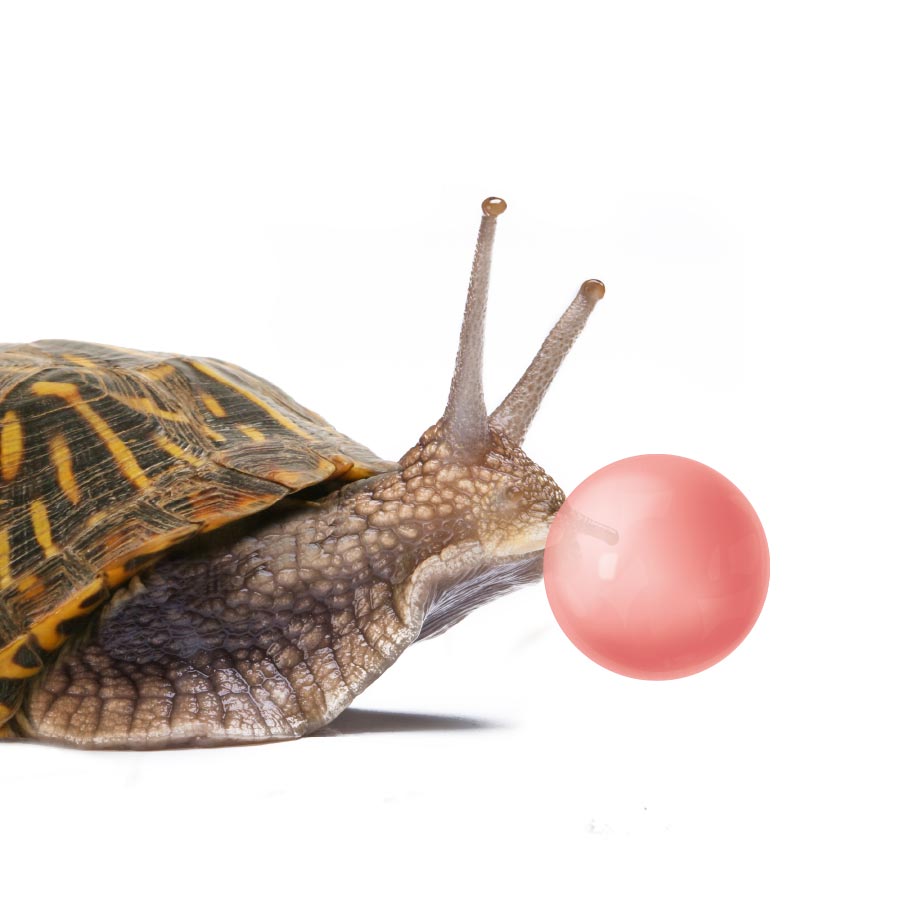 Kornipuž puše balon