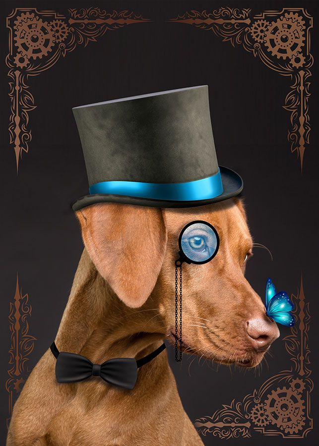 Steampunk Dog