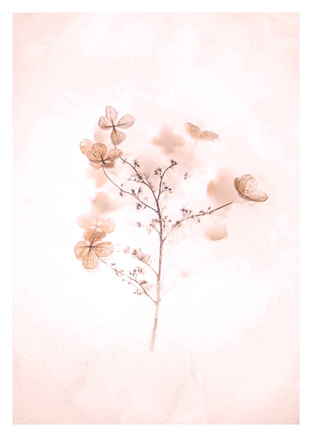 cv004_v Ljubavni zanos - Slika 1