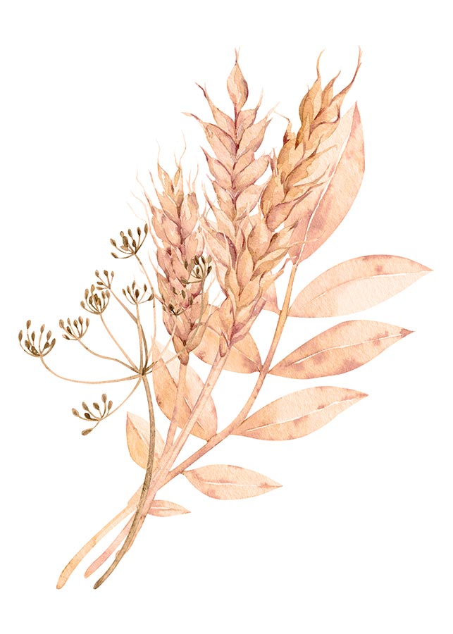 cv006_v Suho cvijeće - Slika 1