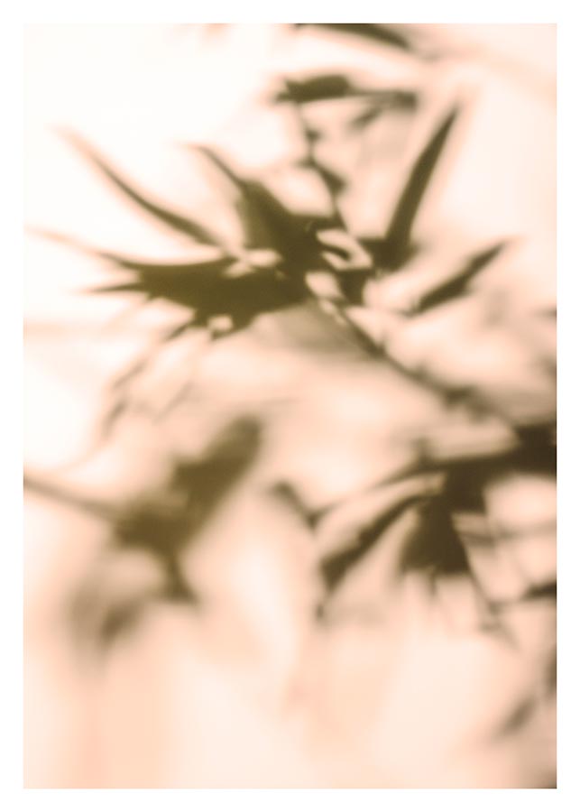 cv009_v Zamisli da sam ovdje - Slika 1