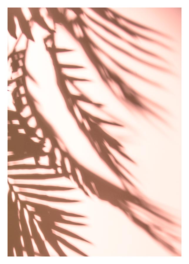 cv010_v Ljetni dan - Slika 1