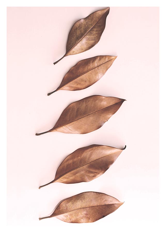 cv015_v Zlatni listovi - Slika 1