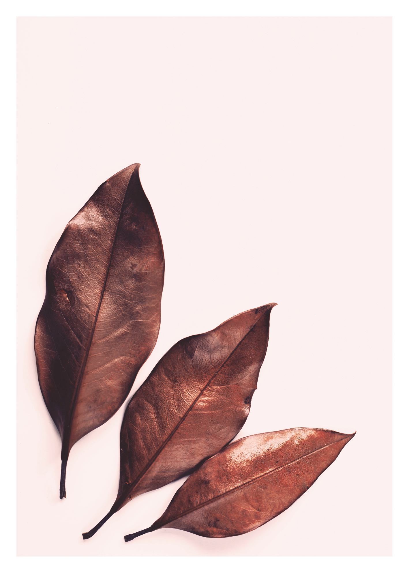 cv018_v Troje - Slika 1