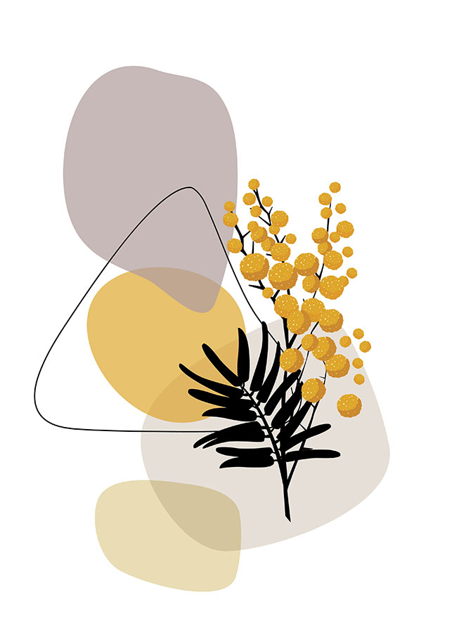 008il_c Smilje - Slika 1