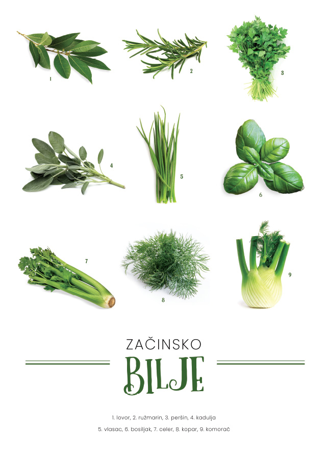022ta_v Začinsko bilje - Slika 1