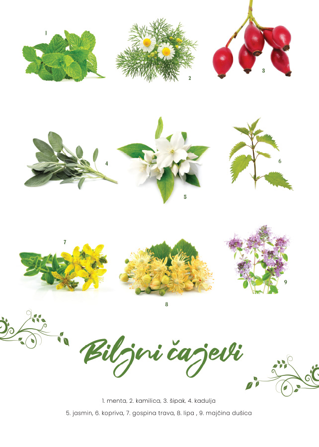 023ta_v Biljni čajevi - Slika 1