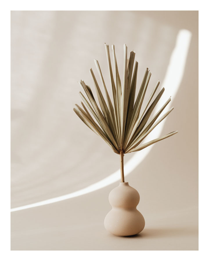 ls001 Palma u vazi - Slika 1