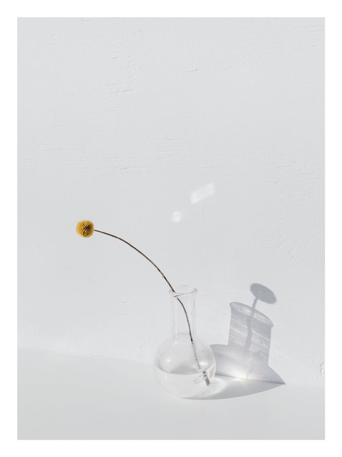 ls003_v Cvijet u staklenoj vazi - Slika 1