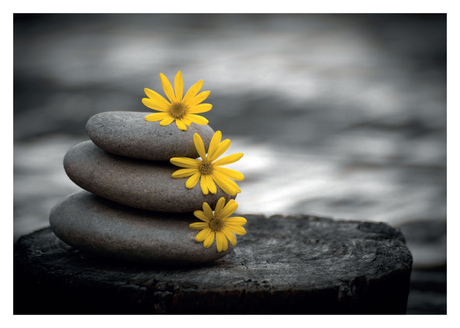 041pr_v70x50 Tišina - Slika 1