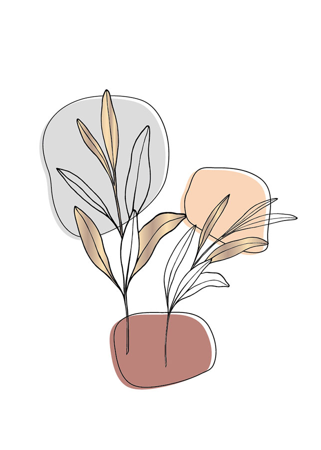 053il-kadulja Kadulja - Slika 1