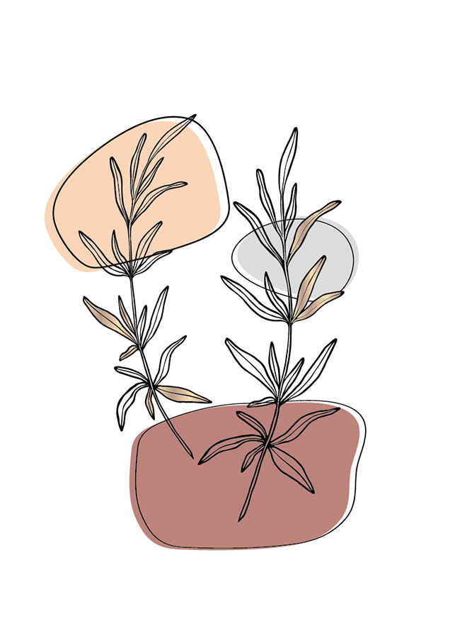 053il-timijan Timijan - Slika 1