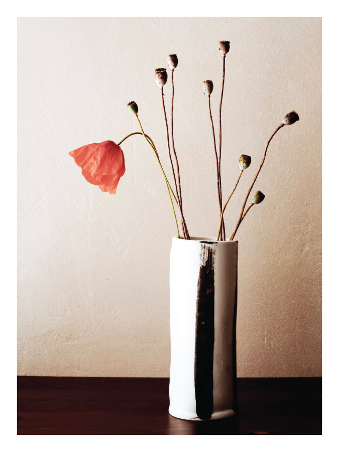 ls019-v Makovi - Slika 1