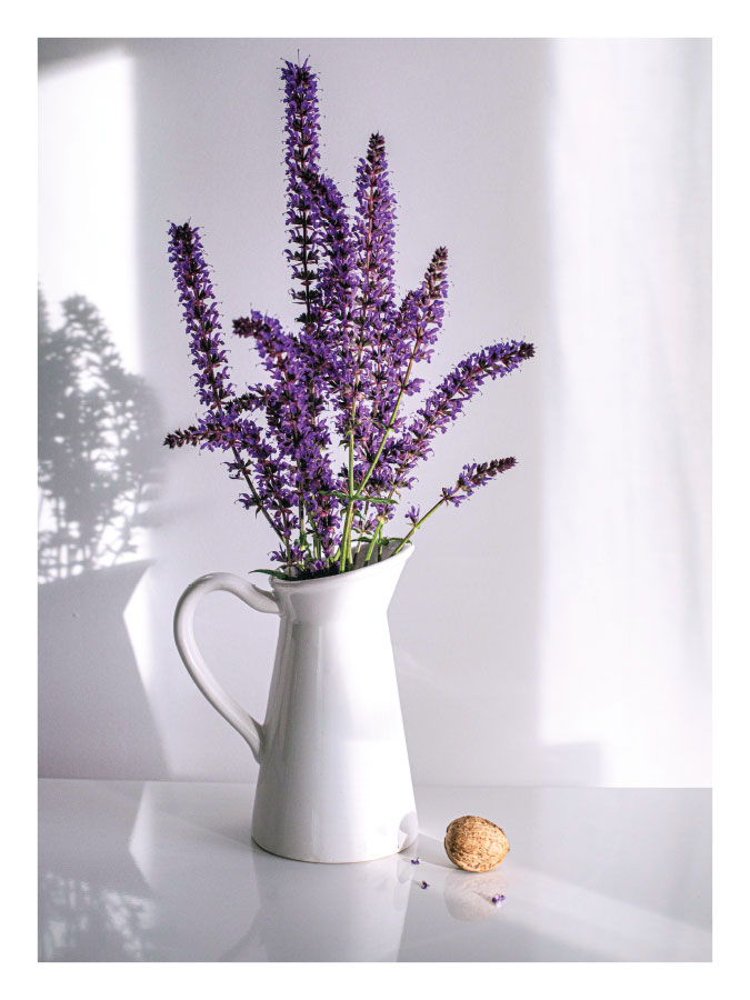 ls023-v Lavanda u vazi - Slika 1