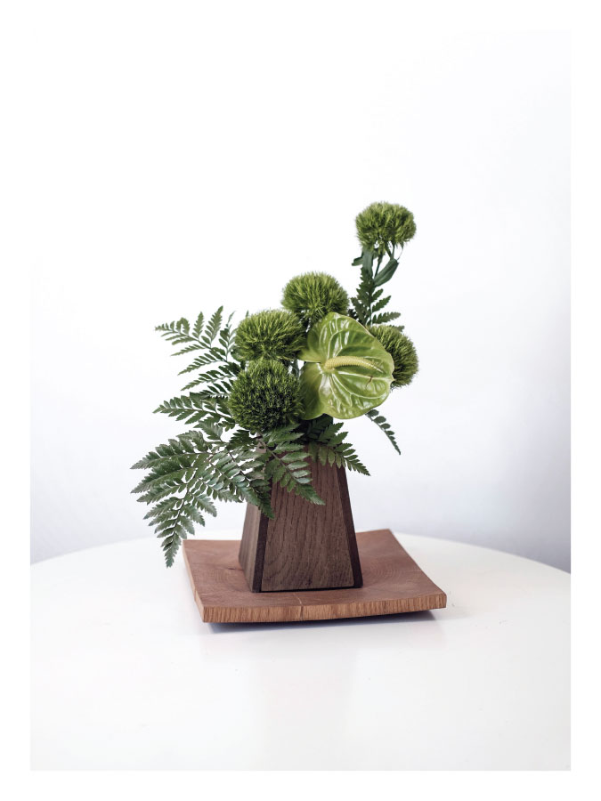 ls026-v Zeleno i smeđe - Slika 1