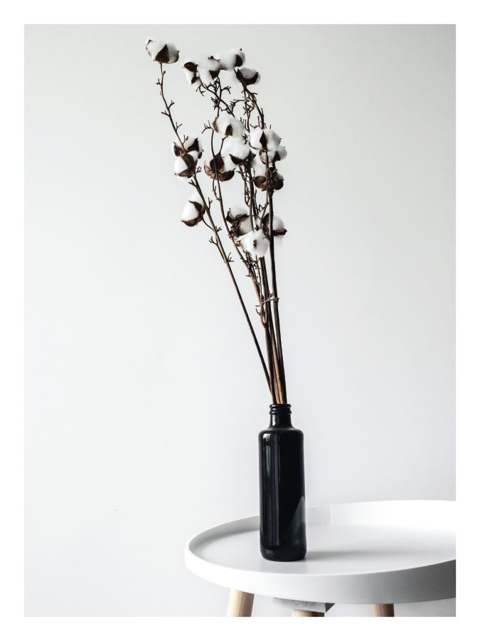 ls027-v Zimsko cvijeće - Slika 1