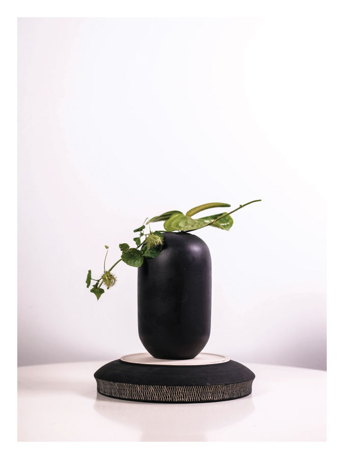 ls029-v Zeleno i crno - Slika 1