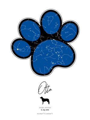 Zvjezdano nebo psi & mačke