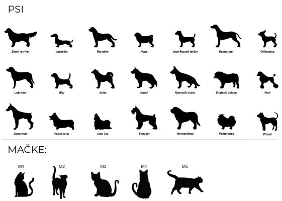 Zvjezdano nebo psi & mačke - Slika 2